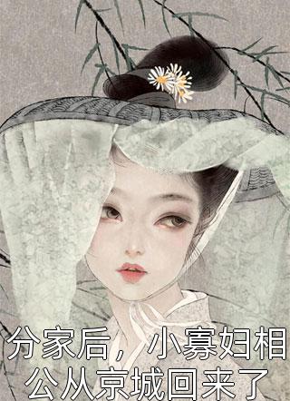 王寒何雨婷小说